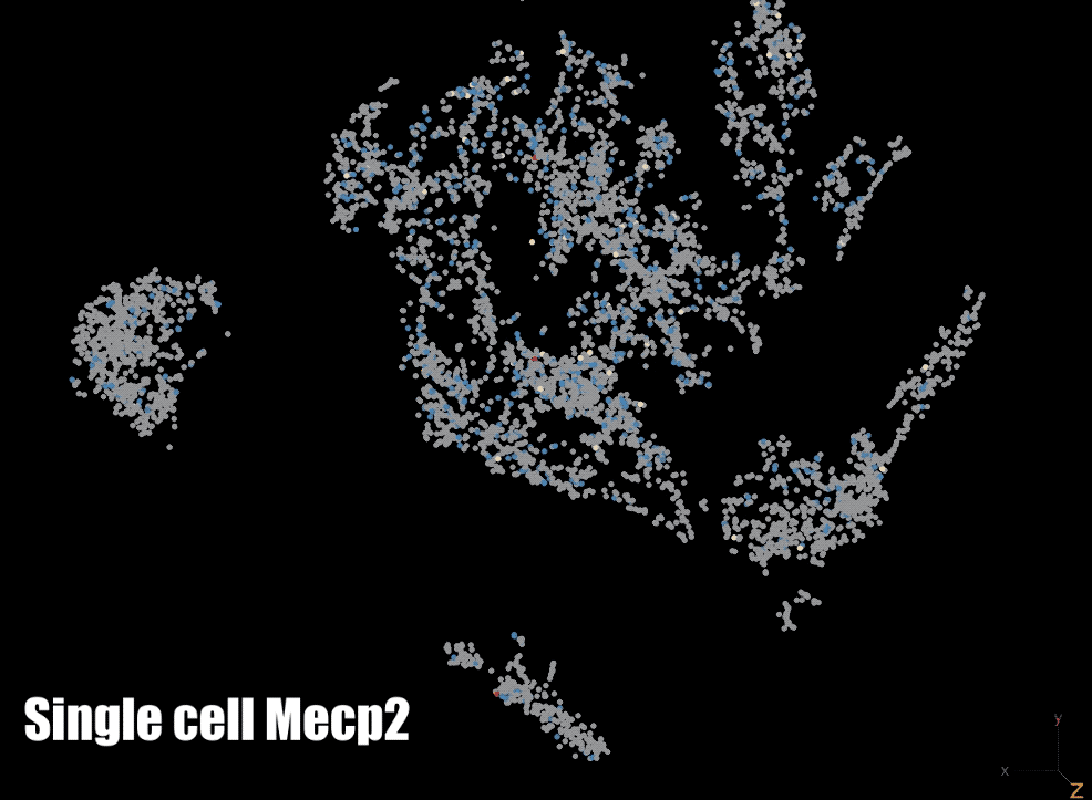 Mecp2