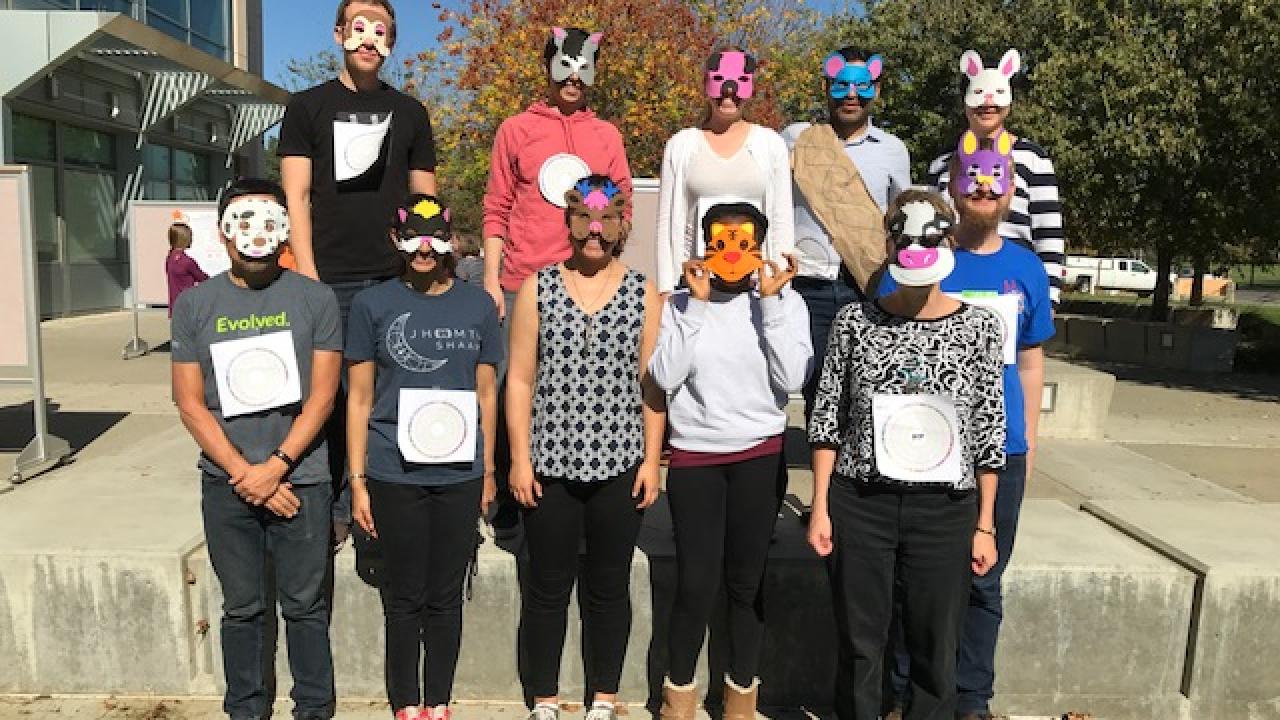 Halloween 2017