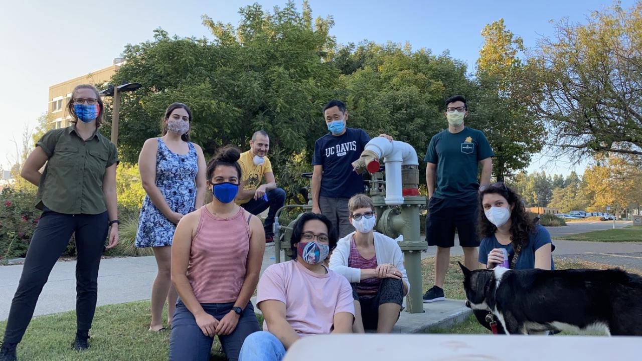 labsocial2020